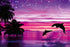 Pink Sky View & Dolphins Pair